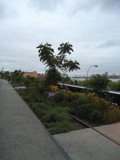 Postcards from New York/5: The High Line