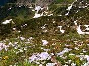 Benvenuti Mondo, Pale Martino Castrozza Dolomiti