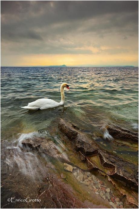 Baia Delle Sirene - Lago di Garda
