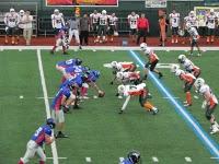 Football Americano: IFL tra sorprese e conferme.