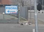 Lampione travolto pericolante.