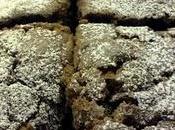 brownies dopo pasqua