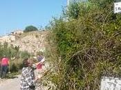 Gela-Manfria, cittadini dimenticati trasformano addetti alla pulizia delle strade