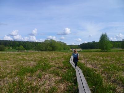 Summer days in Uppsala (almost..)