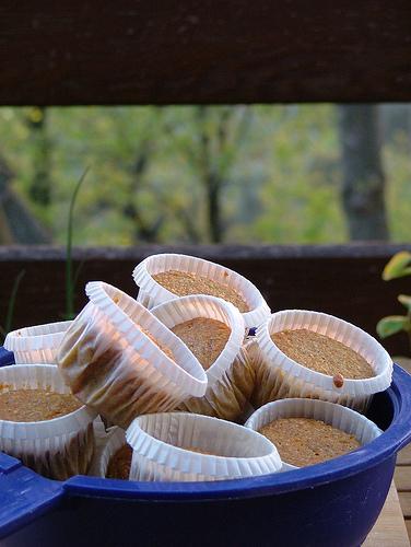 spelt, buckwheat and carrot muffins