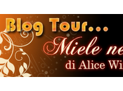 Estrazione giveaways miele nero ombra velluto!