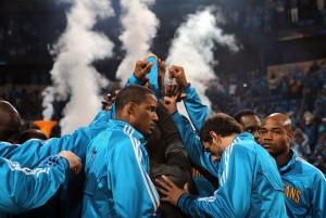 hornets