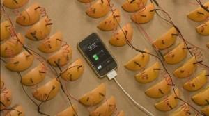 Quante arance servono per caricare un iPhone?