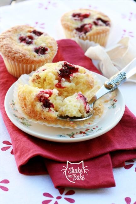 Raspberry mini cakes