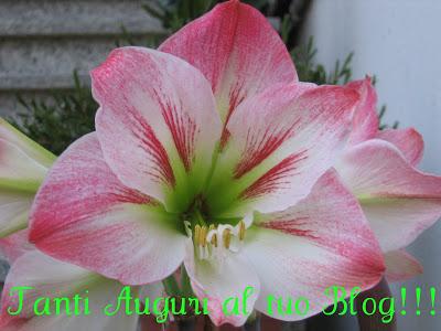 Buon compleanno, blog ! Buon compleanno, blog !