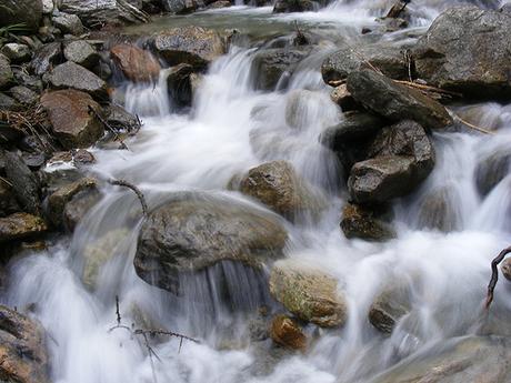 Il sapore dell’acqua. giochi d'acqua