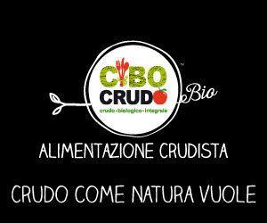 Crema di carote e finocchi CIBO CRUDO