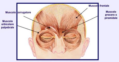 I Benefici del Botox I Benefici del Botox
