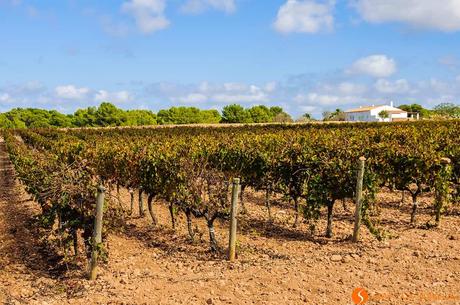 12 Cose da fare e vedere a Formentera – Non solo spiagge 12 Cose da fare e vedere a Formentera – Non solo spiagge