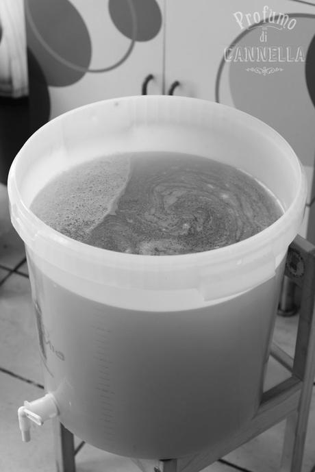Fare la birra – 3 modi diversi per diventare HOMEBREWER Home made beer