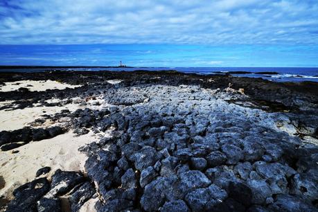 Viaggio a Fuerteventura: i posti e le spiagge più belle da visitare sull’isola Viaggio a Fuerteventura: i posti e le spiagge più belle da visitare sull’isola