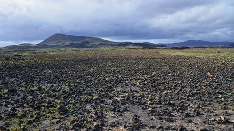 Viaggio a Fuerteventura: i posti e le spiagge più belle da visitare sull’isola Viaggio a Fuerteventura: i posti e le spiagge più belle da visitare sull’isola