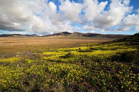Viaggio a Fuerteventura: i posti e le spiagge più belle da visitare sull’isola Viaggio a Fuerteventura: i posti e le spiagge più belle da visitare sull’isola