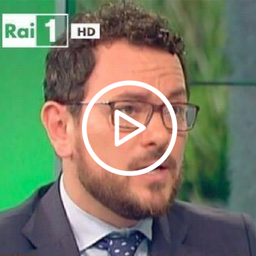 Gli scampi: tutto quello che c’è da sapere Progetto senza titolo