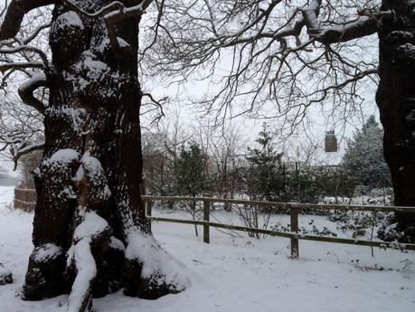 50 sfumature di bianco. La sporca verità sulla neve 50 sfumature di bianco. La sporca verità sulla neve