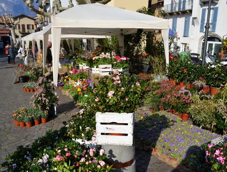 PRIMAV…ARENNA! “La Natura si risveglia sul Lago di Como” V EDIZIONE 17-18 marzo 2018 PRIMAV…ARENNA! “La Natura si risveglia sul Lago di Como” V EDIZIONE 17-18 marzo 2018