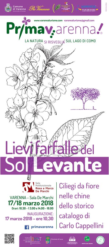 PRIMAV…ARENNA! “La Natura si risveglia sul Lago di Como” V EDIZIONE 17-18 marzo 2018 PRIMAV…ARENNA! “La Natura si risveglia sul Lago di Como” V EDIZIONE 17-18 marzo 2018