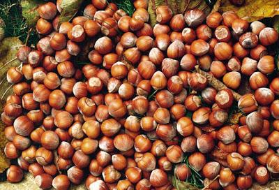 Arriva Veganella, la nutella vegana Arriva Veganella, la nutella vegana