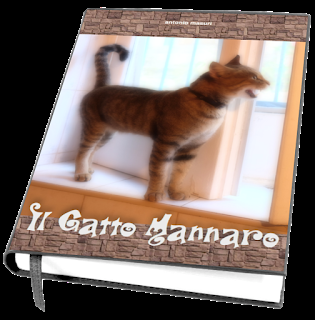 giovane nero micio ottenere Fanculo