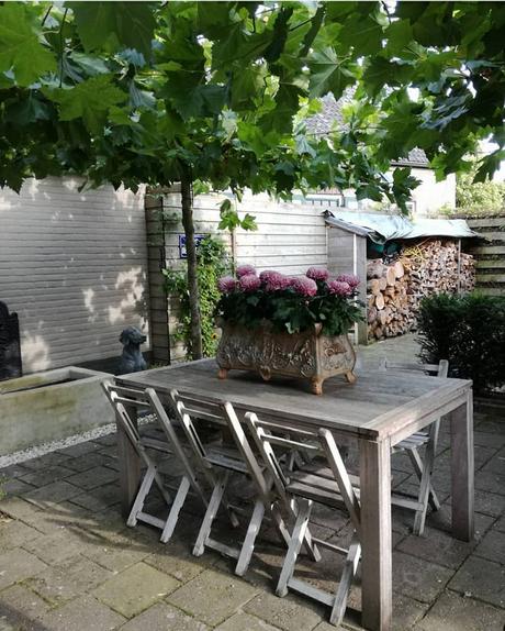 Una bella casa di campagna in Olanda L'immagine può contenere: persone sedute, pianta, tabella, spazio all'aperto e spazio al chiuso