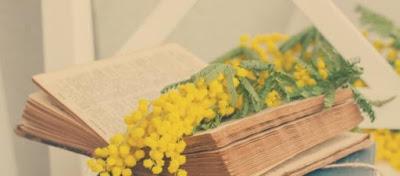 Festeggia la Festa delle donne con un libro Festeggia la Festa delle donne con un libro