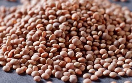 Olive all’ascolana olive ascolane vegan lenticchie