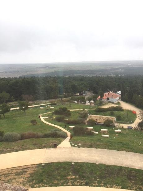 Tripping in Puglia is fantastic Tripping in Puglia is fantastic