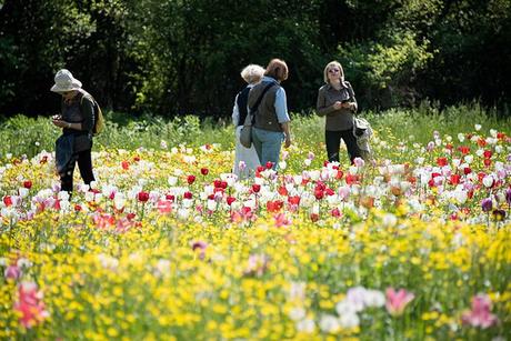 Pasqua e Pasquetta a Villa Pisani Bolognesi Scalabrin Pasqua e Pasquetta a Villa Pisani Bolognesi Scalabrin