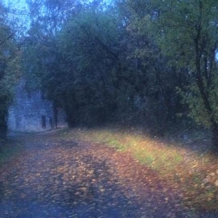 autunno2 autunno2