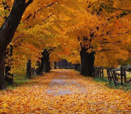 autunno autunno