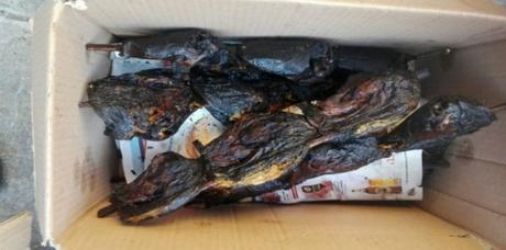 Nutrie arrostite al mercato di Porta Palazzo a Torino Nutrie arrostite al mercato di Porta Palazzo a Torino