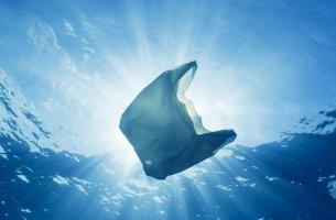 Il nostro mare soffoca sotto una montagna di plastica e microplastica plastica mare