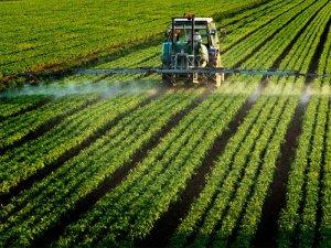 Pesticidi: Ue mette al bando i killer delle api pesticidi