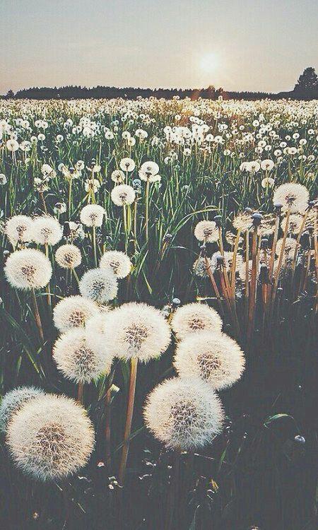 IT'S SPRING TIME! IT'S SPRING TIME!