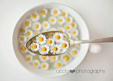 IT'S SPRING TIME! IT'S SPRING TIME!