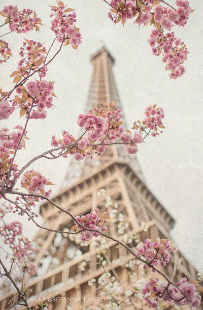 IT'S SPRING TIME! IT'S SPRING TIME!