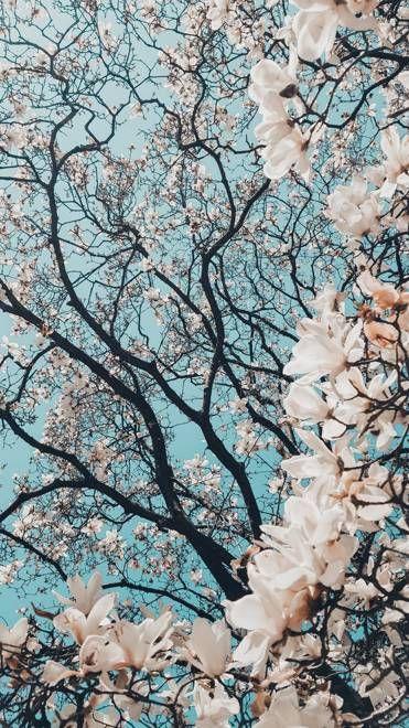 IT'S SPRING TIME! IT'S SPRING TIME!