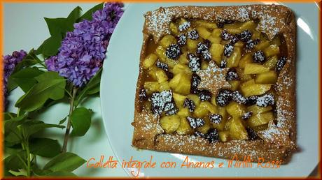 Galletta integrale con Ananas e Mirtilli rossi Galletta integrale con Ananas e Mirtilli rossi