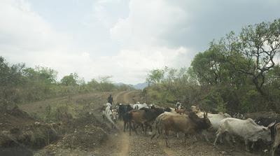 Etiopia 7 - Nella valle dell'Omo Etiopia 7 - Nella valle dell'Omo