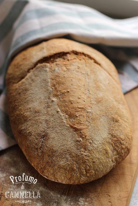 Pane fatto in casa – a lievitazione naturale Ricetta pane rustico