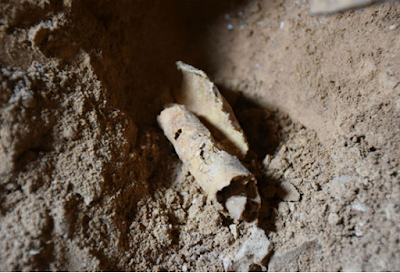 Archeologia: Decifrato un altro rotolo del Mar Morto. I ricercatori sono riusciti a ricostruire il significato del penultimo manoscritto di Qumran, che non era ancora stato tradotto, scoprendo nuovi dettagli sul funzionamento del calendario ebraico. A... Archeologia: Decifrato un altro rotolo del Mar Morto. I ricercatori sono riusciti a ricostruire il significato del penultimo manoscritto di Qumran, che non era ancora stato tradotto, scoprendo nuovi dettagli sul funzionamento del calendario ebraico. A...