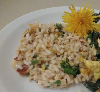 Il Gusto di non Sprecare a Euroflora 2018 – Risotto ai fiori di tarassaco Il Gusto di non Sprecare a Euroflora 2018 – Risotto ai fiori di tarassaco