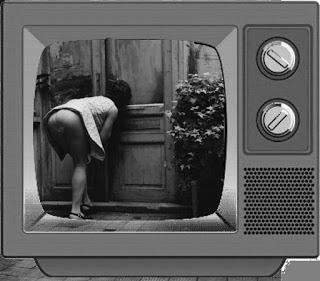 L'uomo che sussurrava alla Tv L'uomo che sussurrava alla Tv