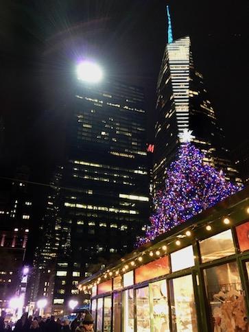 Visita a Bryant Park e alla biblioteca New York Public Library periodo-natalizio.jpg
