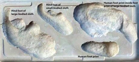 Caccia preistorica al bradipo gigante raccontata dalle orme impresse su una distesa salata Tracce del bradipo gigante (Megatherium) e degli esseri umani che lo inseguivano